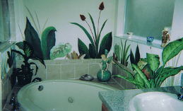 garden tub foliage
